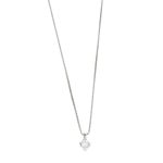 Collana oro bianco punto luce con diamante